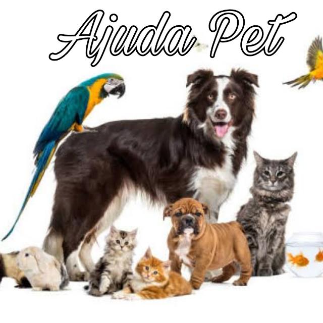 SOMENTE pedido de ajuda pra pets